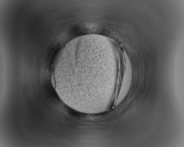X0000086740613200705111636