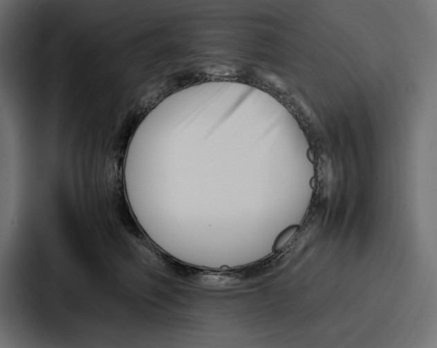 X0000086740614200705111636