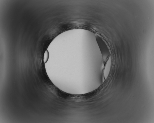 X0000086740615200705111636