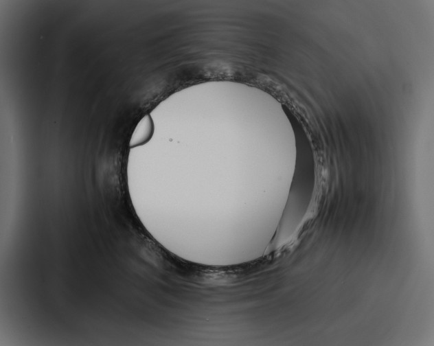 X0000086740616200705111636