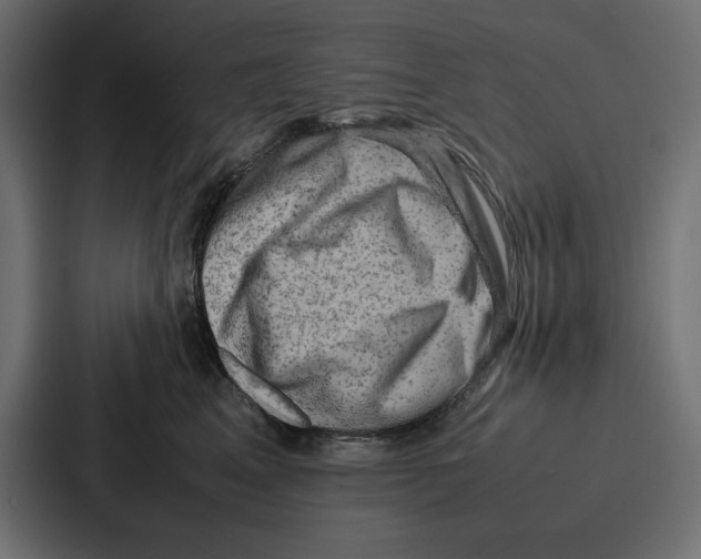 X0000086740617200705111636