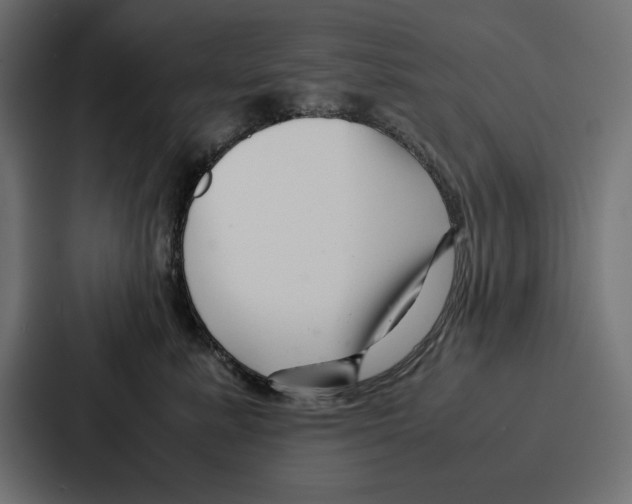 X0000086740619200705111636
