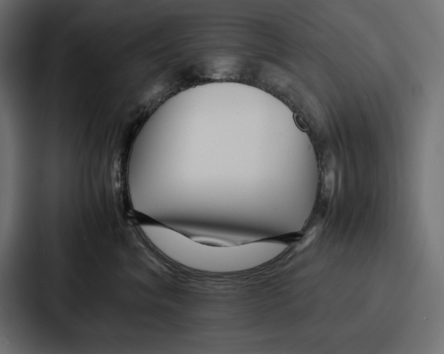 X0000086740620200705111636