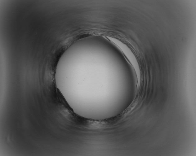 X0000086740621200705111636