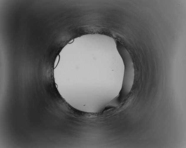X0000086740624200705111636