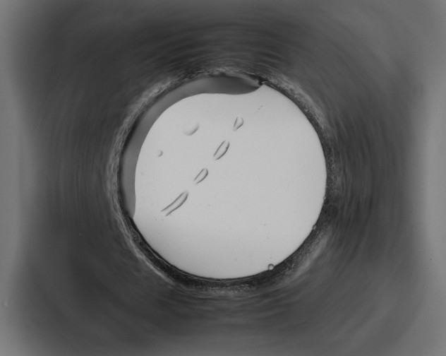 X0000086740625200705111635