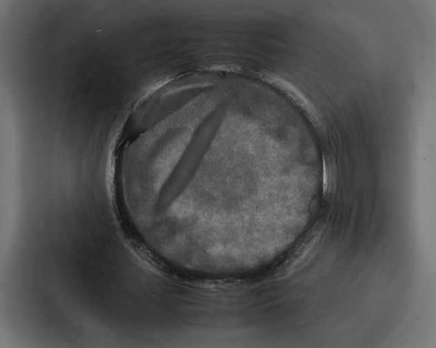 X0000086740627200705111635