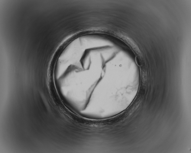 X0000086740628200705111635