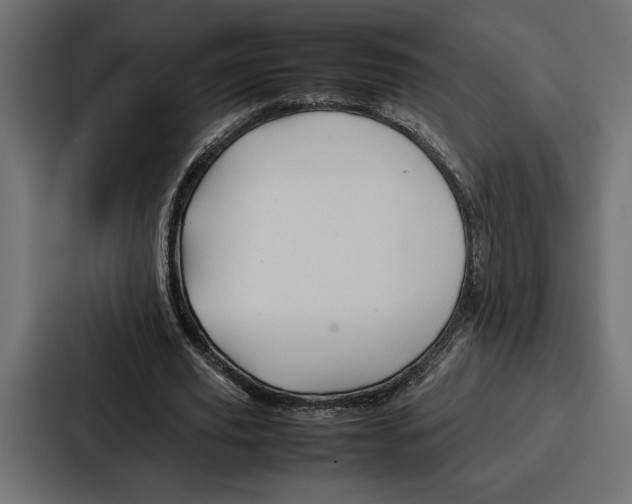 X0000086740629200705111635