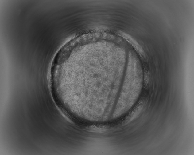 X0000086740630200705111635