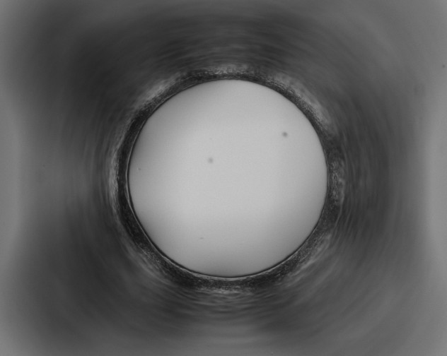 X0000086740631200705111635
