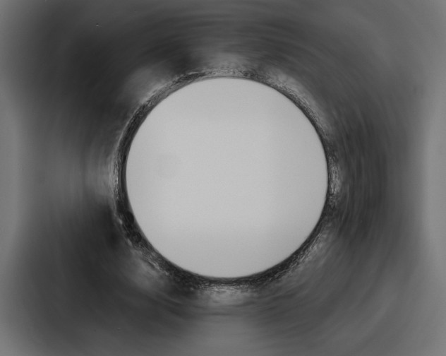 X0000086740632200705111635