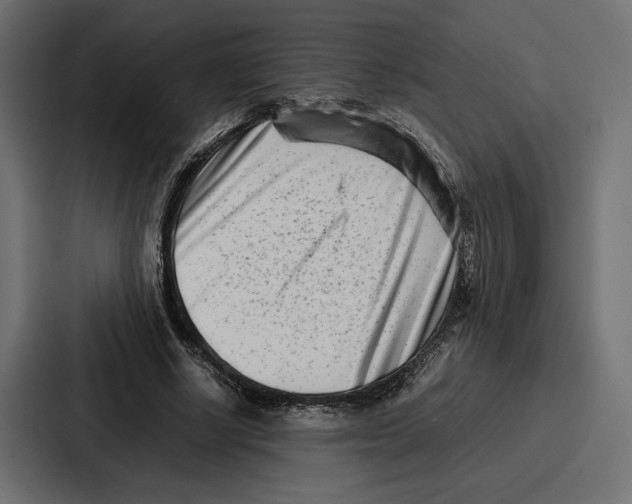 X0000086740634200705111635