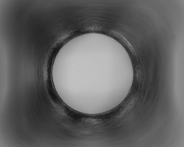X0000086740635200705111635