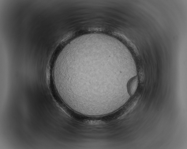 X0000086740637200705111635