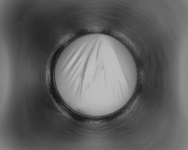 X0000086740638200705111635