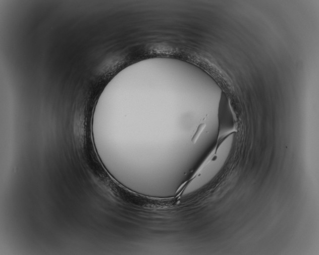 X0000086740639200705111635
