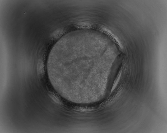 X0000086740641200705111636