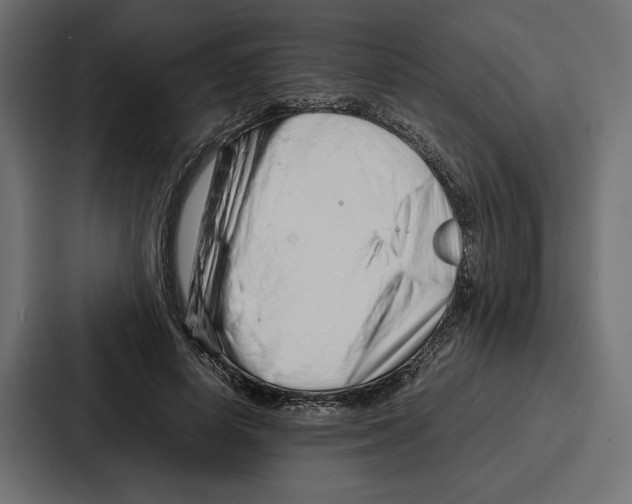 X0000086740642200705111636