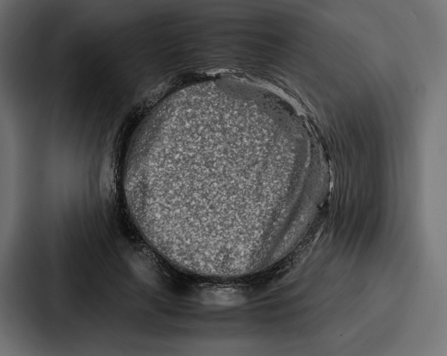 X0000086740643200705111636