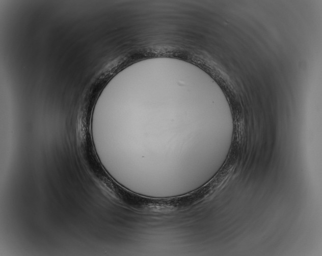 X0000086740644200705111636