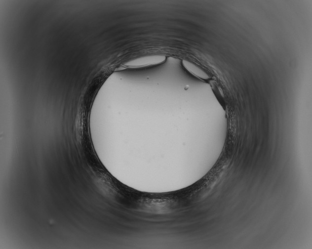 X0000086740645200705111636