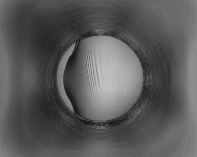 X0000086740646200705111636