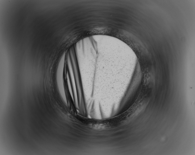 X0000086740647200705111636