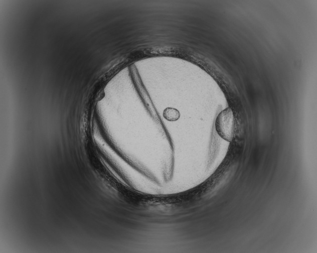 X0000086740648200705111636