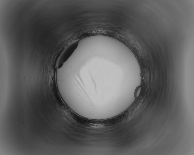 X0000086740649200705111636