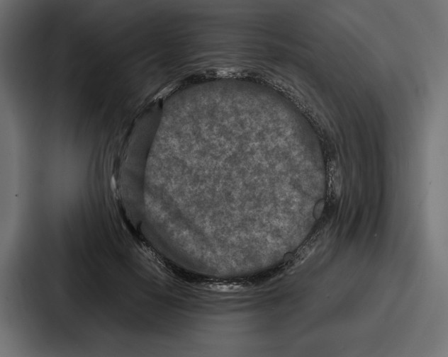X0000086740650200705111636