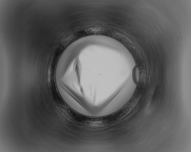 X0000086740651200705111636