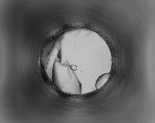 X0000086740652200705111636