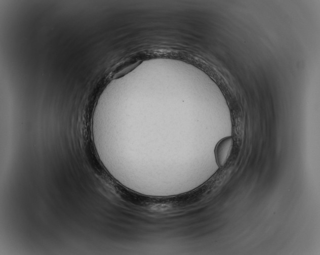 X0000086740653200705111636