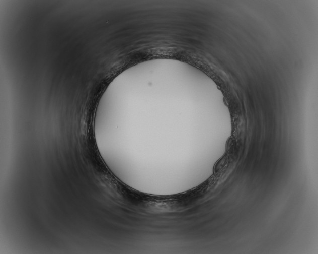 X0000086740655200705111636