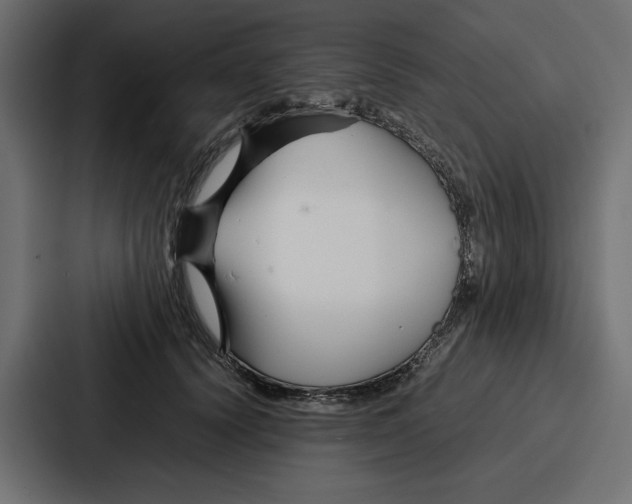X0000086740656200705111636