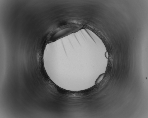 X0000086740657200705111636