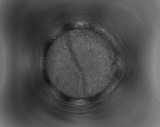 X0000086740659200705111636