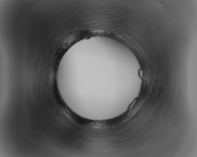 X0000086740660200705111636