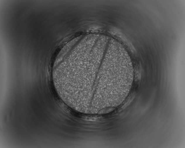 X0000086740661200705111636