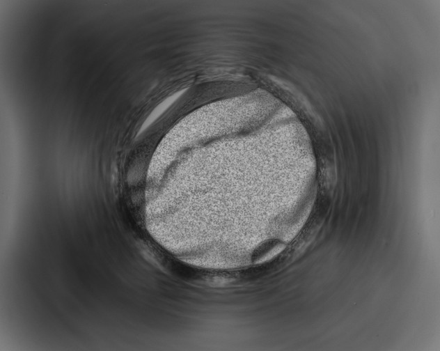 X0000086740662200705111636