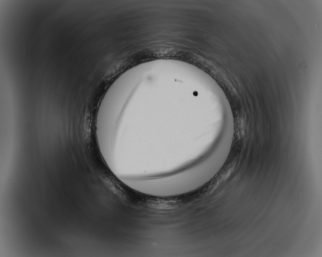 X0000086740664200705111636