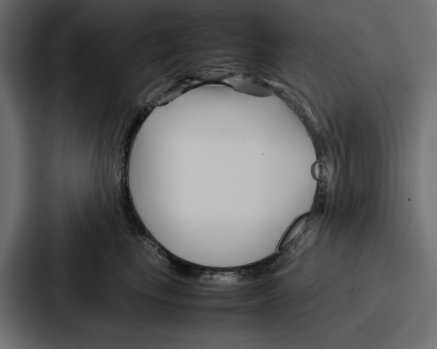 X0000086740665200705111636