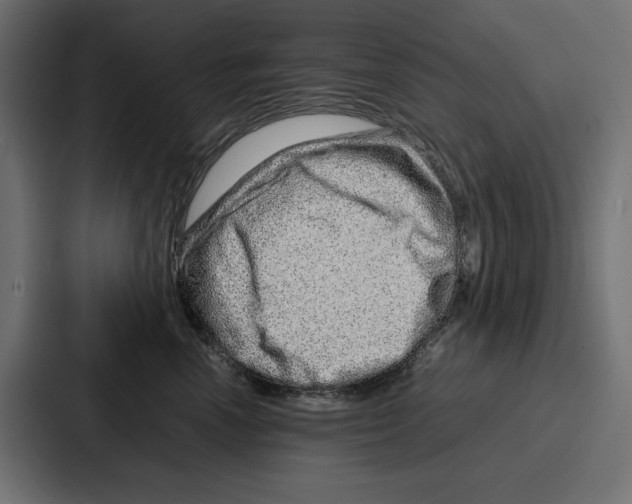X0000086740666200705111636