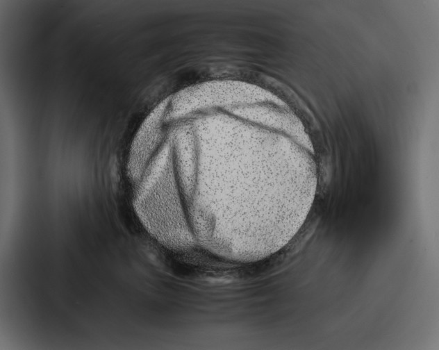 X0000086740667200705111636