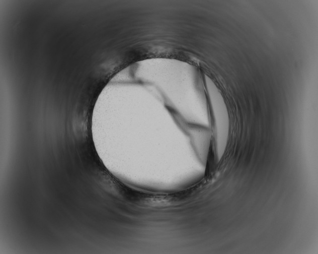 X0000086740668200705111636