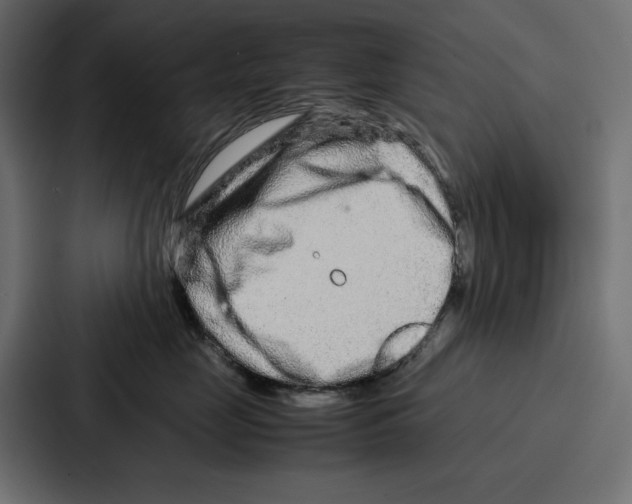 X0000086740669200705111636