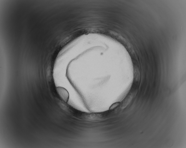 X0000086740670200705111636
