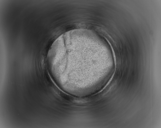 X0000086740671200705111636