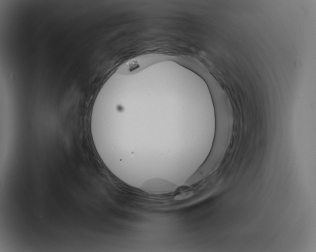X0000086740672200705111636